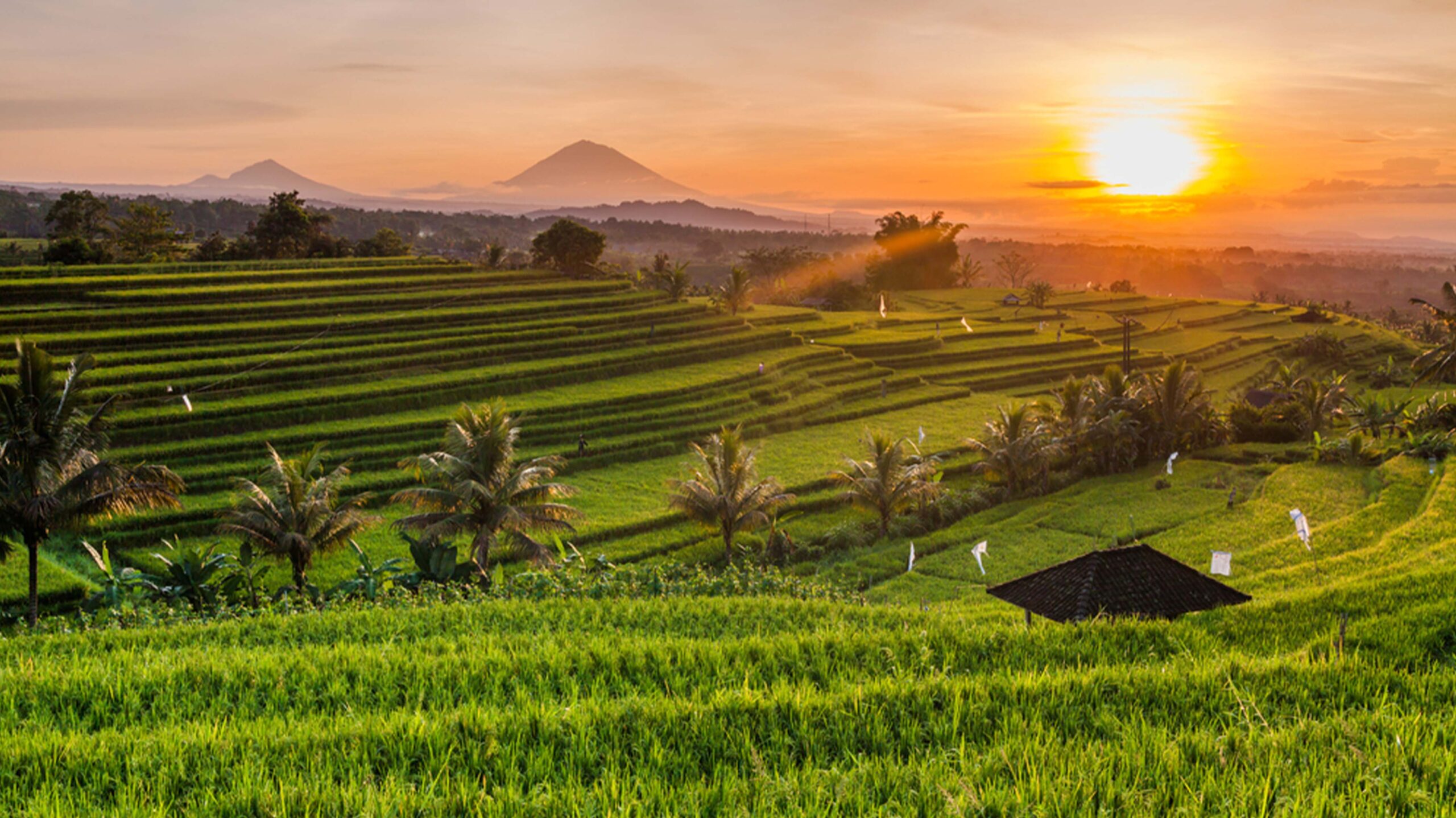 Rice Terraces Mountains Sunrise Bali Indonesia