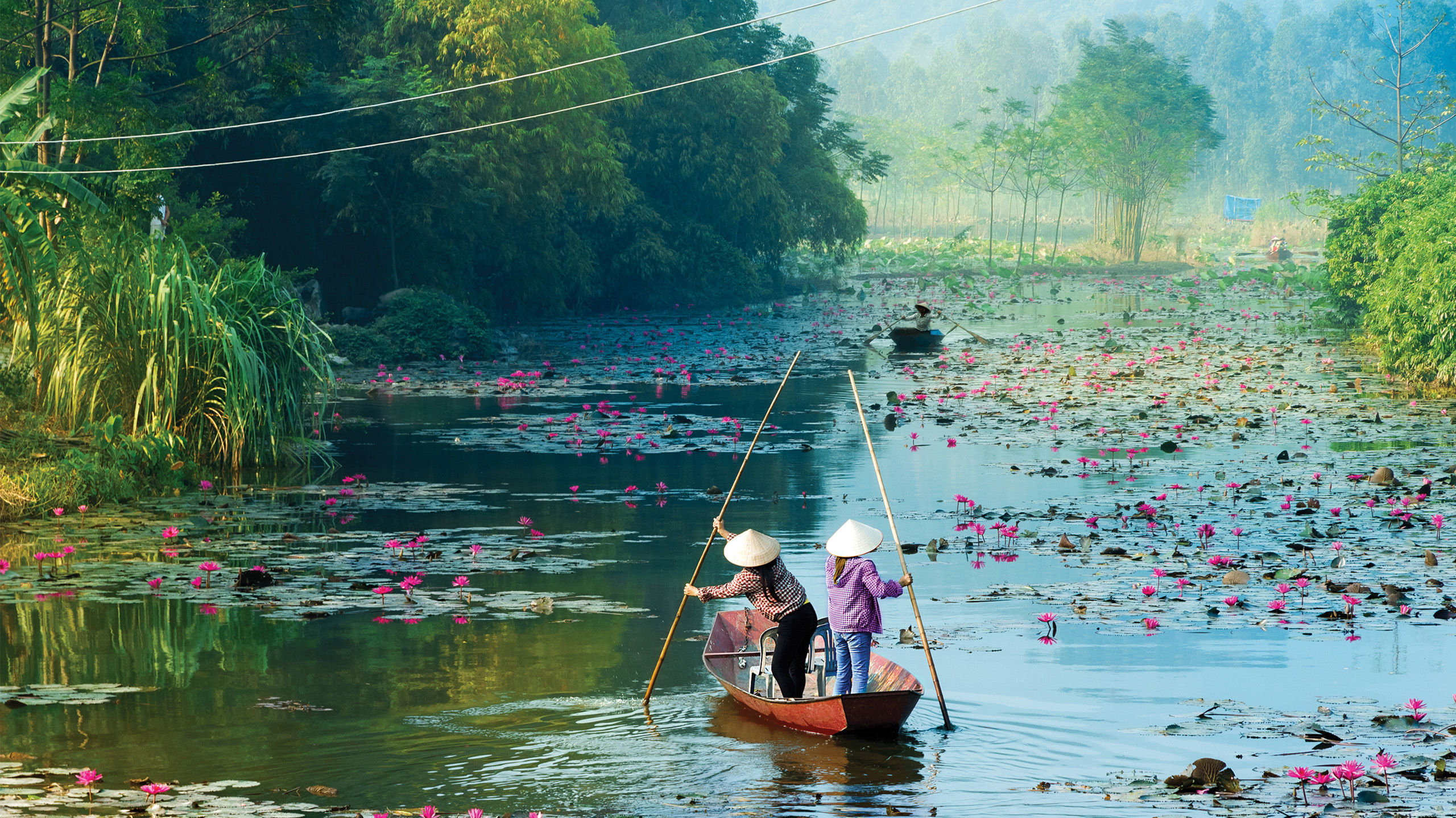 Ha Noi